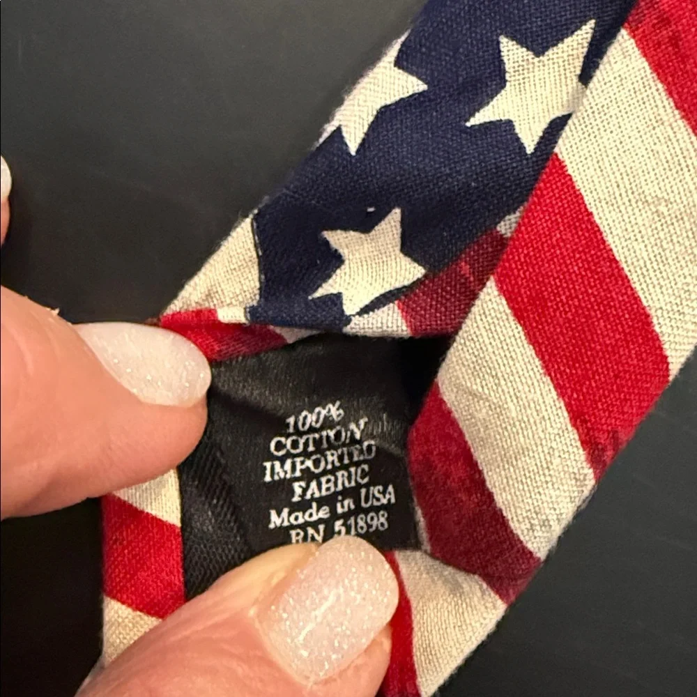 BEANS MCGEE American Flag Patterned Tie